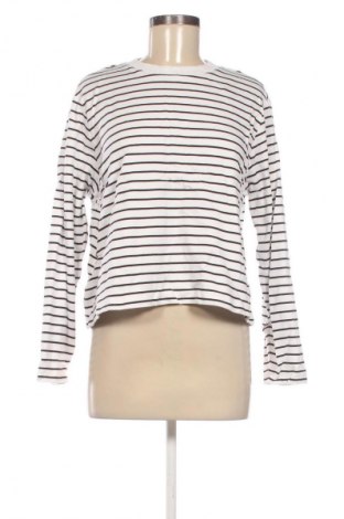 Dámská halenka Unbranded, Velikost XL, Barva Vícebarevné, Cena  119,00 Kč