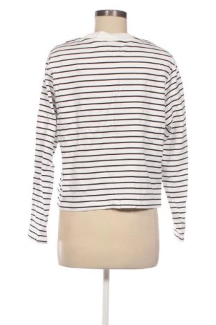 Dámská halenka Unbranded, Velikost XL, Barva Vícebarevné, Cena  119,00 Kč