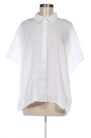 Damenbluse Calvin Klein, Größe XL, Farbe Weiß, Preis 99,99 €