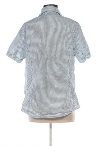 Damska koszula Cecil, Rozmiar XL, Kolor Kolorowy, Cena 57,99 zł