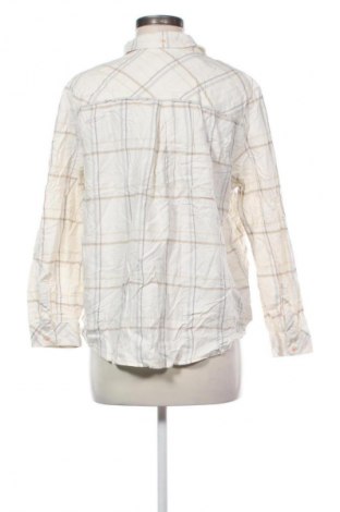 Dámska košeľa  Cecil, Veľkosť L, Farba Viacfarebná, Cena  1,95 €