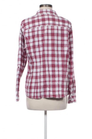 Damenbluse Multiblu, Größe L, Farbe Mehrfarbig, Preis € 1,99