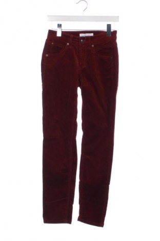 Дамски джинси Cambio, Размер S, Цвят Кафяв, Цена 19,94 €