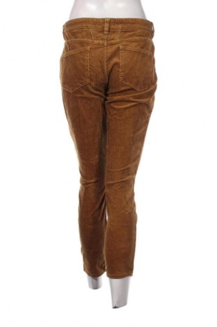 Damskie sztruksy Closed, Rozmiar XL, Kolor Brązowy, Cena 42,99 zł