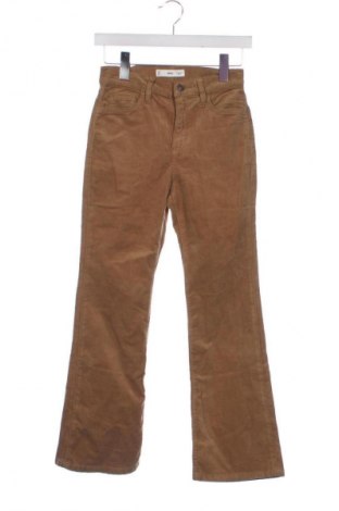 Damen Cordhose Mango, Größe XS, Farbe Braun, Preis € 9,99