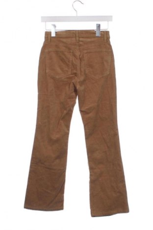 Damen Cordhose Mango, Größe XS, Farbe Braun, Preis € 9,99