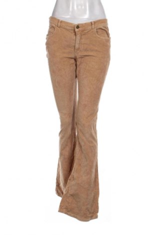 Damen Cordhose Miss Sixty, Größe M, Farbe Braun, Preis € 16,99