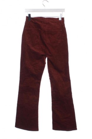 Damen Cordhose Uniqlo, Größe XS, Farbe Braun, Preis 28,99 €
