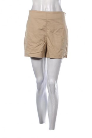 Γυναικείο κοντό παντελόνι Unbranded, Μέγεθος XL, Χρώμα  Μπέζ, Τιμή 9,00 €