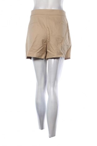 Γυναικείο κοντό παντελόνι Unbranded, Μέγεθος XL, Χρώμα  Μπέζ, Τιμή 9,00 €