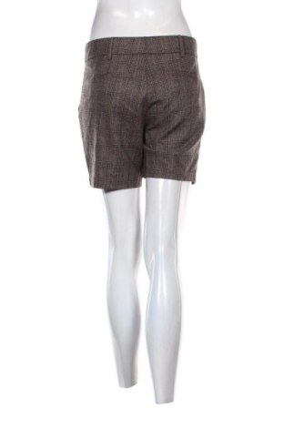 Γυναικείο κοντό παντελόνι United Colors Of Benetton, Μέγεθος L, Χρώμα Πολύχρωμο, Τιμή 8,99 €