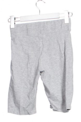 Colant de femei Sinsay, Mărime XS, Culoare Gri, Preț 26,99 Lei