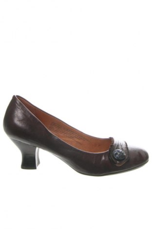 Dámske topánky  Naya, Veľkosť 40, Farba Hnedá, Cena  42,95 €