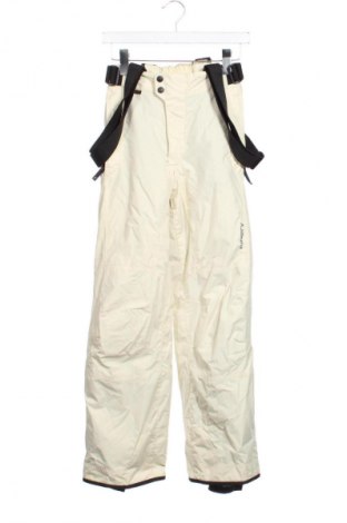 Dámske nohavice pre zimné športy Unbranded, Veľkosť XS, Farba Žltá, Cena  32,74 €