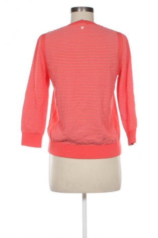 Damenpullover Terre Bleue, Größe S, Farbe Mehrfarbig, Preis € 7,99