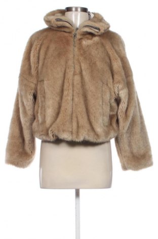 Γυναικείο παλτό Zara, Μέγεθος XS, Χρώμα Πολύχρωμο, Τιμή 26,99 €