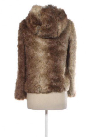 Γυναικείο παλτό Zara, Μέγεθος S, Χρώμα Πολύχρωμο, Τιμή 43,99 €