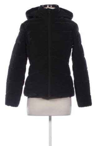 Damenjacke Calliope, Größe XS, Farbe Schwarz, Preis € 42,99