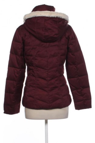 Γυναικείο μπουφάν Charles Vogele, Μέγεθος S, Χρώμα Καφέ, Τιμή 20,99 €