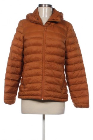 Γυναικείο μπουφάν Scheck, Μέγεθος M, Χρώμα Πορτοκαλί, Τιμή 12,99 €