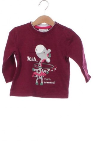 Detská blúzka  Ergee, Veľkosť 12-18m/ 80-86 cm, Farba Viacfarebná, Cena  1,95 €