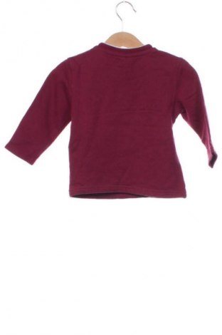 Detská blúzka  Ergee, Veľkosť 12-18m/ 80-86 cm, Farba Viacfarebná, Cena  1,95 €