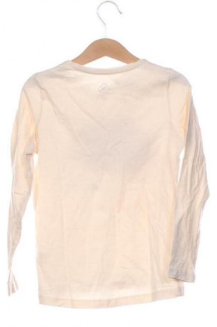 Detská blúzka  Tex, Veľkosť 5-6y/ 116-122 cm, Farba Béžová, Cena  4,80 €