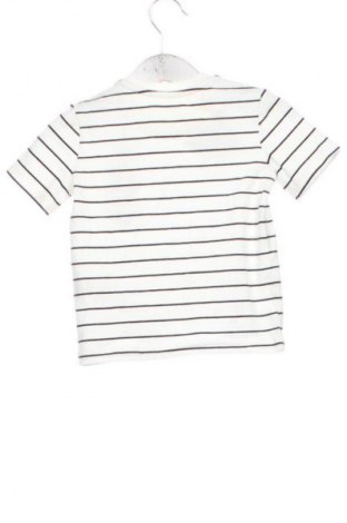 Dziecięcy T-shirt Calvin Klein Jeans, Rozmiar 9-12m/ 74-80 cm, Kolor Kolorowy, Cena 203,99 zł