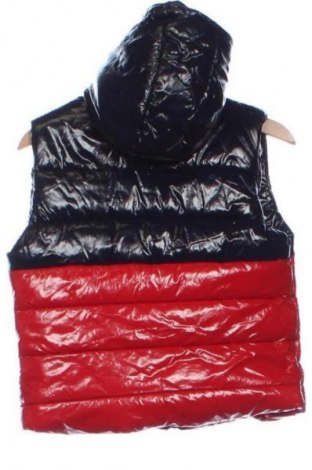 Παιδικό γιλέκο Unbranded, Μέγεθος 2-3y/ 98-104 εκ., Χρώμα Πολύχρωμο, Τιμή 4,00 €