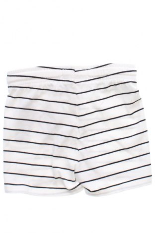 Kinder Shorts Calvin Klein Jeans, Größe 9-12m/ 74-80 cm, Farbe Mehrfarbig, Preis € 58,99