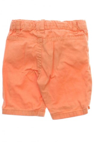 Kinder Shorts Unbranded, Größe 9-12m/ 74-80 cm, Farbe Orange, Preis 3,99 €