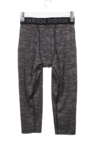 Dětské legíny  Adidas, Velikost 14-15y/ 168-170 cm, Barva Šedá, Cena  379,00 Kč