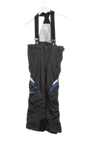 Spodnie dziecięce do sportów zimowych Unbranded, Rozmiar 9-10y/ 140-146 cm, Kolor Szary, Cena 40,99 zł