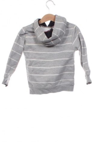 Kinder Sweatshirts Polo Club, Größe 3-4y/ 104-110 cm, Farbe Mehrfarbig, Preis 15,99 €