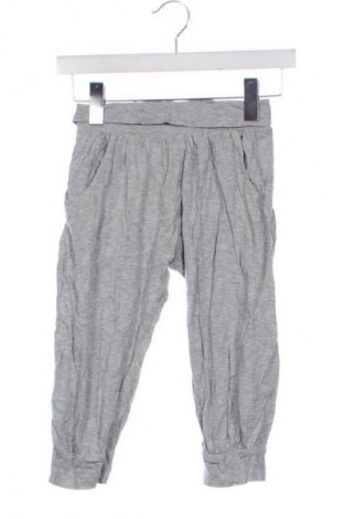 Dziecięce spodnie sportowe Pocopiano, Rozmiar 9-10y/ 140-146 cm, Kolor Szary, Cena 48,99 zł
