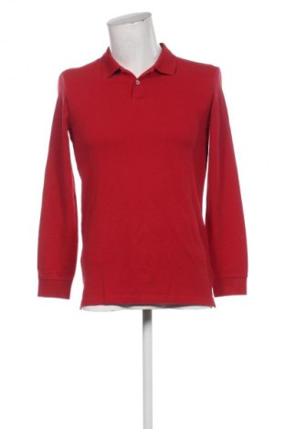 Męska bluzka Amazon Essentials, Rozmiar XXL, Kolor Czerwony, Cena 19,99 zł