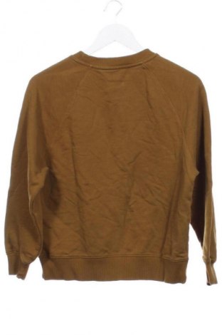 Pánské tričko  Unbranded, Velikost XXS, Barva Vícebarevné, Cena  89,00 Kč