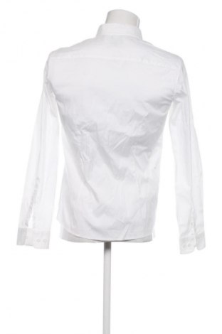 Herrenhemd Armani Jeans, Größe L, Farbe Weiß, Preis 53,00 €