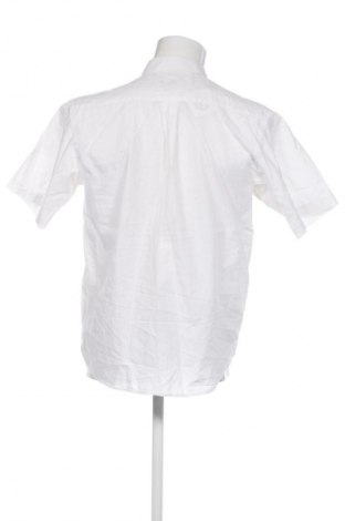 Мъжка риза Barotti, Размер M, Цвят Бял, Цена 6,13 €