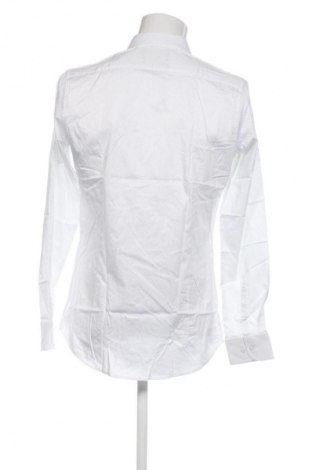 Férfi ing Giacomo Conti, Méret M, Szín Sokszínű, Ár 11 369 Ft