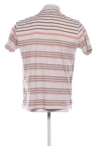 Pánské tričko  Marks & Spencer, Velikost M, Barva Vícebarevné, Cena  520,00 Kč