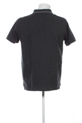 Ανδρικό t-shirt Paul Taylor, Μέγεθος L, Χρώμα Γκρί, Τιμή 25,99 €