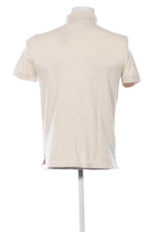 Herren T-Shirt Tommy Hilfiger, Größe S, Farbe Beige, Preis € 89,99
