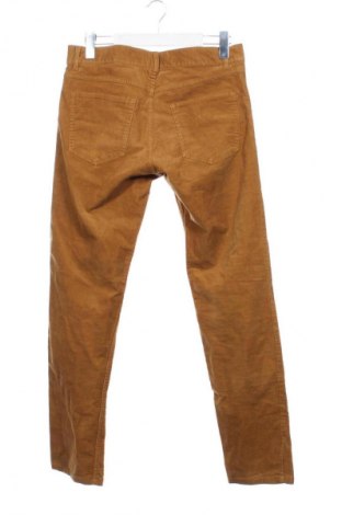 Pánské manšestráky  H&M, Velikost M, Barva Hnědá, Cena  59,00 Kč