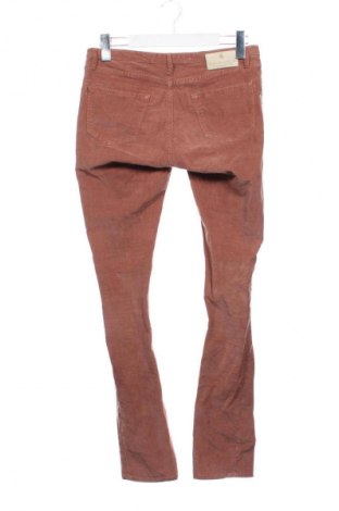 Ανδρικό κοτλέ παντελόνι Maison Scotch, Μέγεθος S, Χρώμα Καφέ, Τιμή 3,99 €