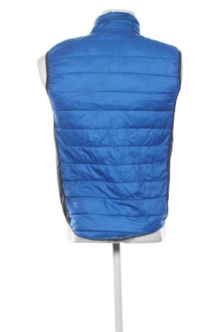 Ανδρικό γιλέκο TCM, Μέγεθος S, Χρώμα Πολύχρωμο, Τιμή 7,99 €