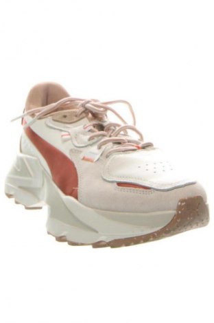 Herrenschuhe PUMA, Größe 40, Farbe Mehrfarbig, Preis 49,99 €