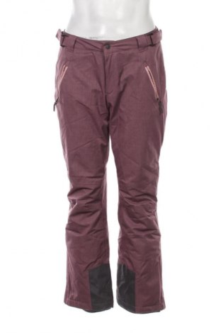 Мъжки панталон за зимни спортове Crane, Размер M, Цвят Пепел от рози, Цена 19,42 €