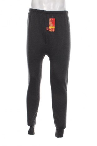 Pánska spodná bielizeň Unbranded, Veľkosť M, Farba Sivá, Cena  19,95 €