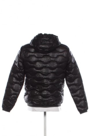 Ανδρικό μπουφάν Blauer, Μέγεθος M, Χρώμα Μαύρο, Τιμή 90,99 €